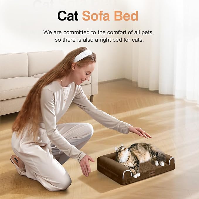 Small Dog Bed Orthopedic Washable: Beds Bolster Small Sized Dogs Cats Bed Egg - Image 3