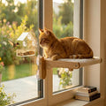 2-in-1 Cat Window Perch & Hummingbird Feeder, Heavy Duty Foldable Cat Hammock by Unknown