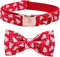 Elegant little tail Dog Collar by Elegantlittletail