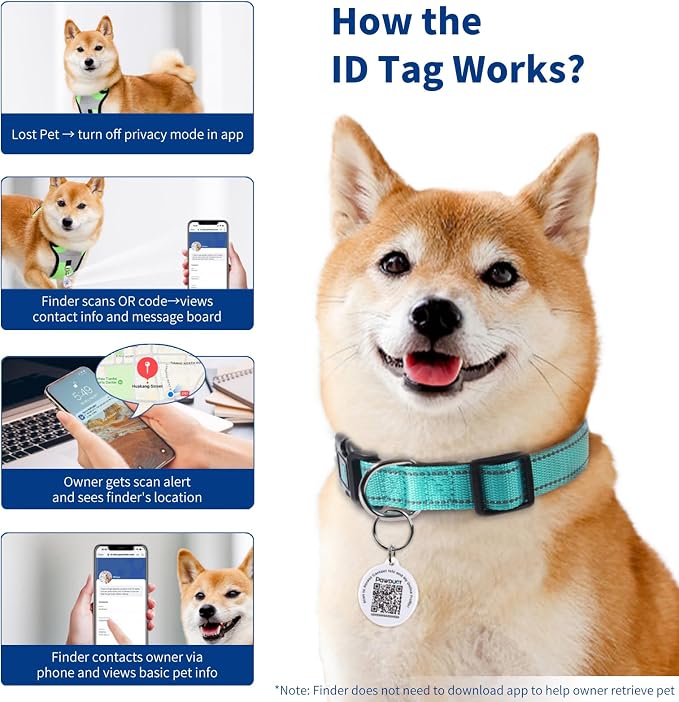 Reflective Dog Collar for Small Dogs - Image 5