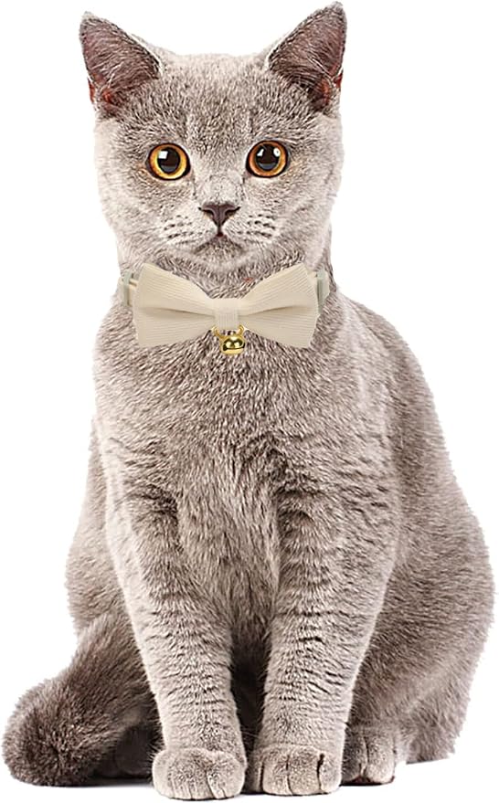 Cotton Breakaway Cat Collar - Image 6