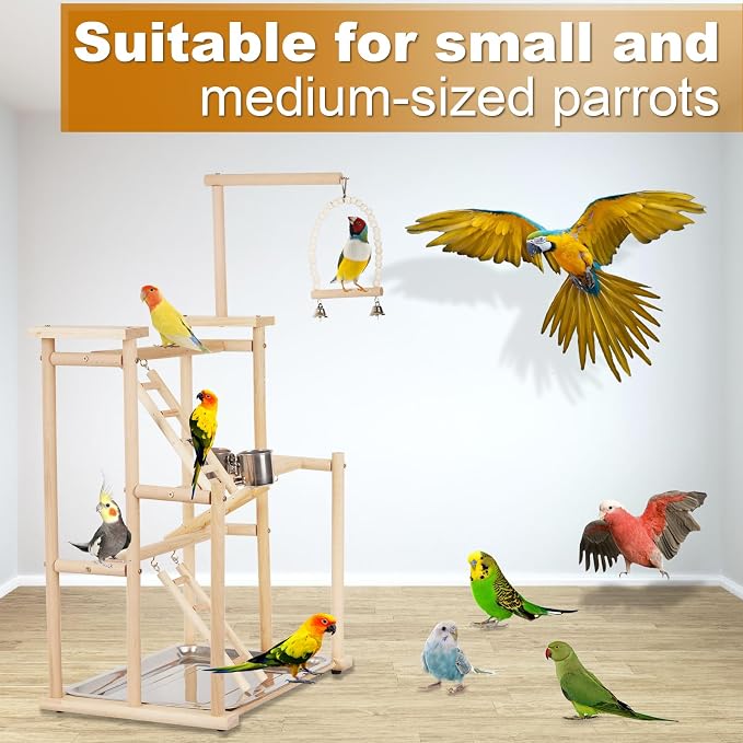 Pet Parrot Playstand Parrots Bird Playground Bird Play Stand Wood Perch Gym - Image 6