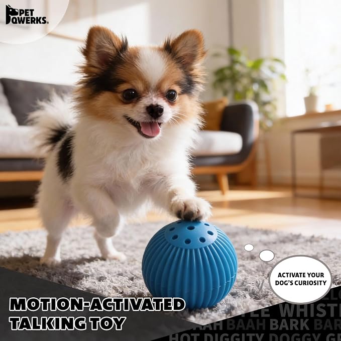 Pet Qwerks Talking Babble Ball - Image 3