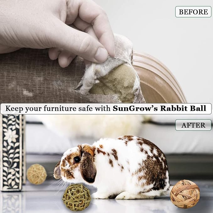 SunGrow Assorted Rabbit & Cat Chew Balls, Teething Activity Toy - Image 8