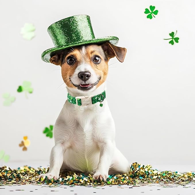 St. Patrick's Day Dog Collar for Large Dogs - Image 3