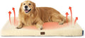Bedsure Self Warming Dog Beds Large Sized Dog by BEDSURE