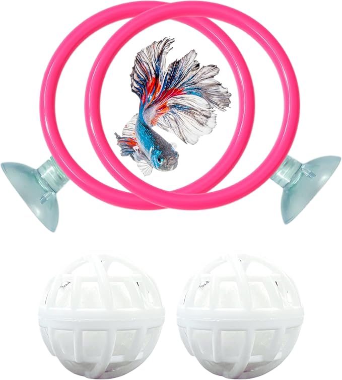 Betta Ring Enrichment Toys by HomedyCrafts