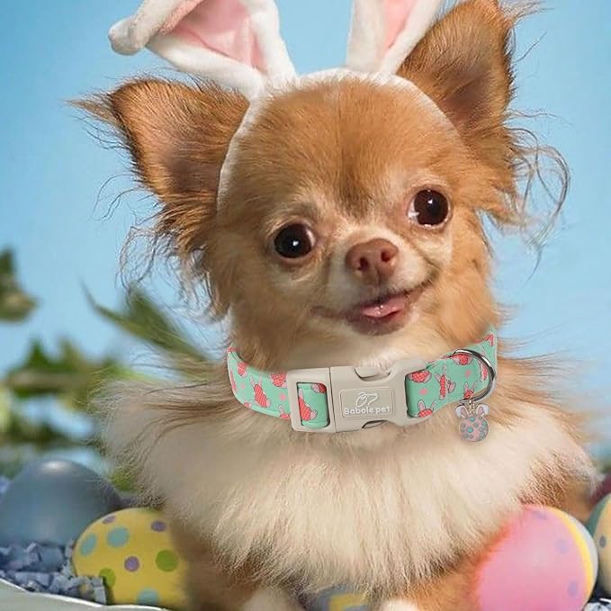 Easter Dog Collar for Medium Dogs - Image 3