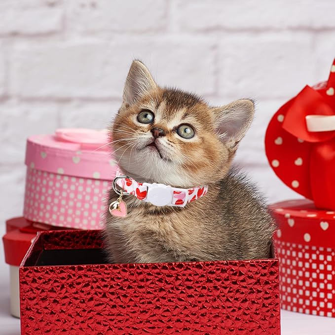 2 Pack Valentine's Day Cat Collar - Image 3