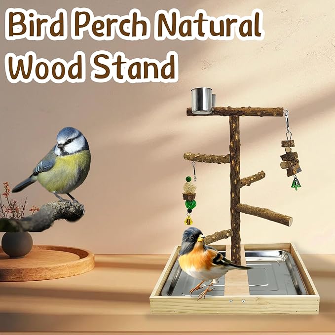 Tfwadmx Bird Perch Natural Wood Stand Toy Parrot Play Stand Platform Bird Cage - Image 6