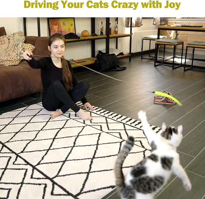 Cat Toys for Indoor Cats, Interactive Cat Toy 2PCS Retractable Wand Toy and - Image 7