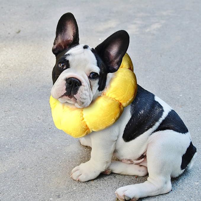 KUDES Cat Small Dog Recovery Collar, Cute Sunflower Neck Cone After Surgery - Image 5