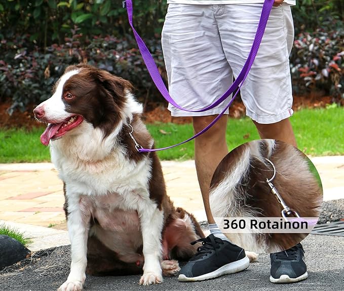 AMAGOOD Dog/Puppy Obedience Recall Training Agility Lead-15 ft 20 ft 30 ft 50 - Image 3