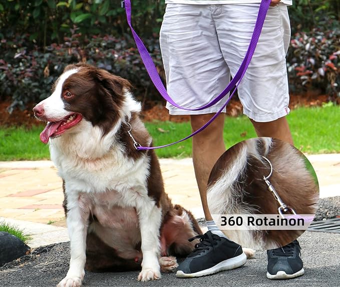 AMAGOOD Dog/Puppy Obedience Recall Training Agility Lead-15 ft 20 ft 30 ft 50 - Image 5