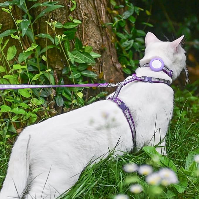 KOOLTAIL Cat Harness and Leash Set, Escape Proof Adjustable Kitten Harness - Image 7