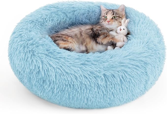 rabbitgoo Cat Beds for Indoor Cats, 20 inches Cat Bed Machine Washable by rabbitgoo