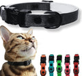 OutdoorBengal Black Breakaway Kitten Collar by OutdoorBengal
