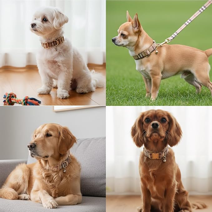 Yizepet Dog Collar and Leash - Image 5