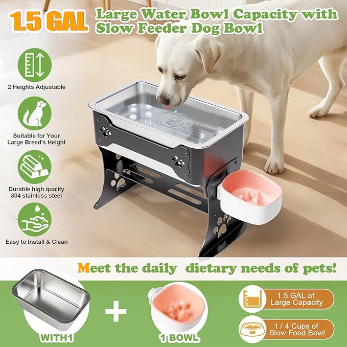 1.5 Gallon Elevated Large Dog Water Bowl, 2 Height Adjustable Stainless Steel - Image 4