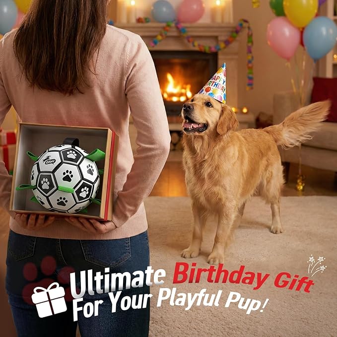QDAN Dog Toys Dog Balls, World Cup Dog Soccer Ball - Image 4