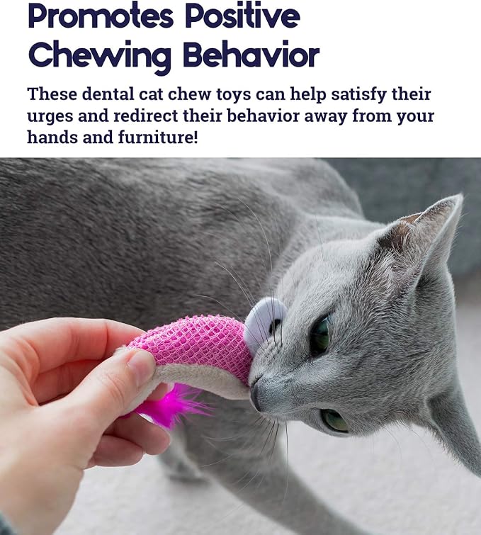 Catstages Petstages Dental Shrimpies Catnip Cat Chew Toy - Image 4