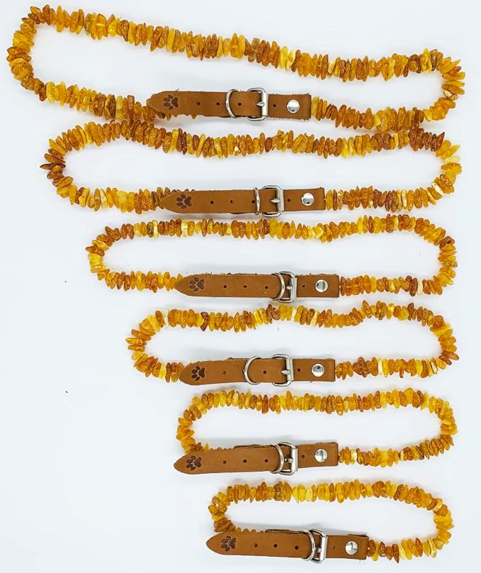 Amber Collars for Dogs & Cats - Image 7