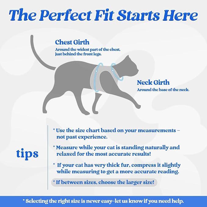 rabbitgoo Cat Harness and Leash Set - Image 2
