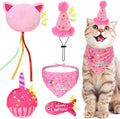 BINGPET Cat Birthday Catnip Toys by BINGPET