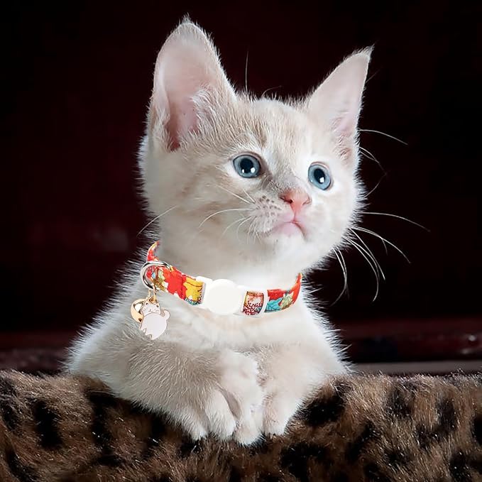 Unique style paws 2 Pack Kitten Collar Breakaway - Image 6
