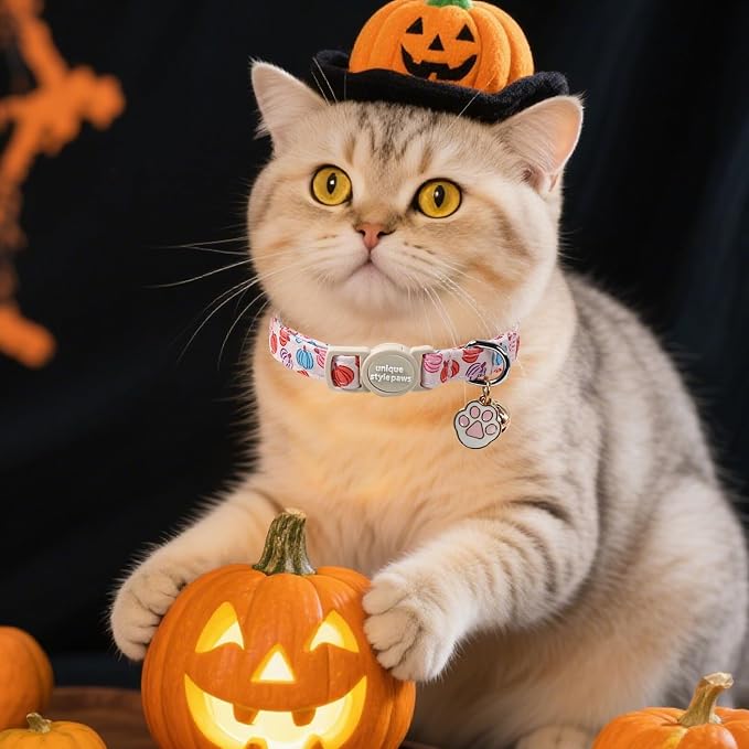 Unique Style Paws Halloween Cat Collar, Cute Cat Collars - Image 5