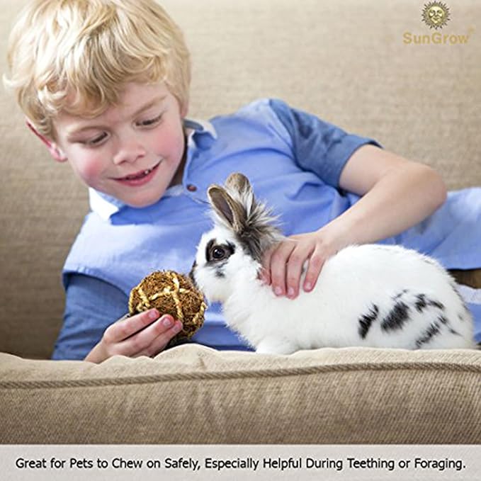 SunGrow Assorted Rabbit & Cat Chew Balls, Teething Activity Toy - Image 9