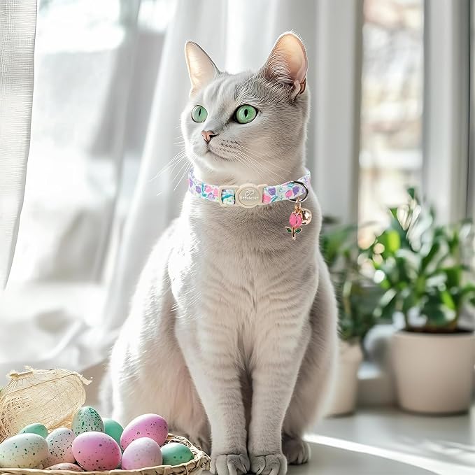 2 Pack Cute Cat Collars - Image 4