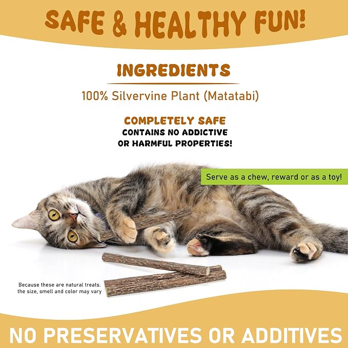 Silvervine Sticks for Cats, Natural Catnip Matatabi Chew Sticks Teeth Molar - Image 7