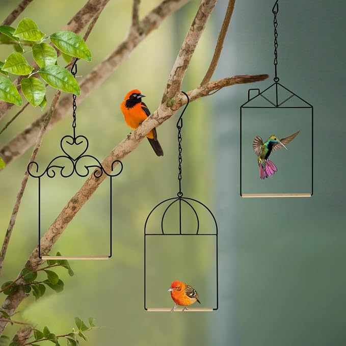 3PK Metal Frame Hummingbird Swings and Perches - Image 4