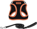 Best Pet Supplies Voyager Step-in Air All Weather Mesh Harness and Reflective by BestPetSuppliesLLC