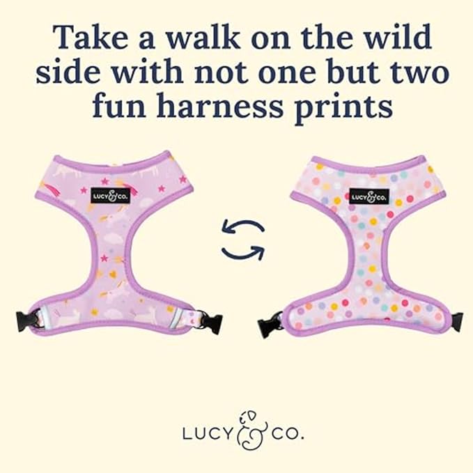 Lucy & Co. Cute Reversible Dog Harness Walking Halter - Image 5