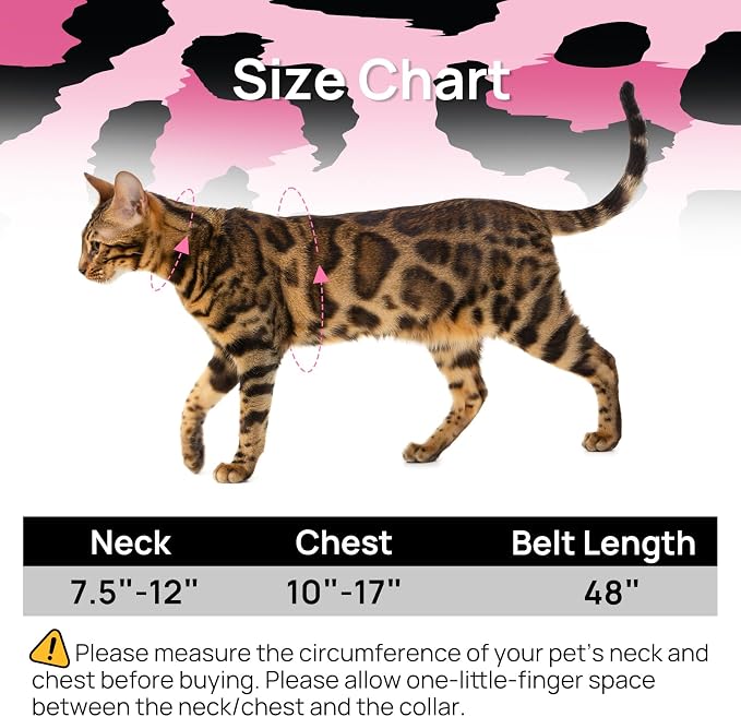 Cat Harness and Leash Set - Image 2