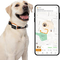 Pawfit 3 GPS Pet Tracker GPS Dog Tracker 4G Live Tracking, Smart Alerts by Pawfit