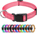 TagME Reflective Nylon Dog Collars, Adjustable Classic Pet Collar by TagME