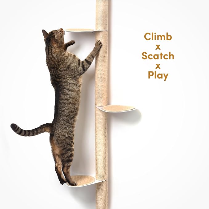 51" Wall-Mounted Cat Tree – Modern Space-Saving Cat Shelf - Image 5