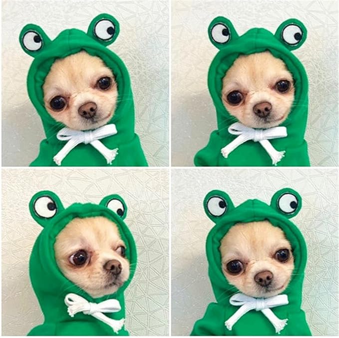 Warm Dog Winter Clothes Cute Fruit Dog Coat Hoodies Fleece Pet Dogs Costume - Image 4