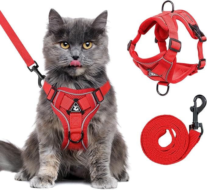 Escape Proof Kitten Harness and Leash Set by GCVOPTON