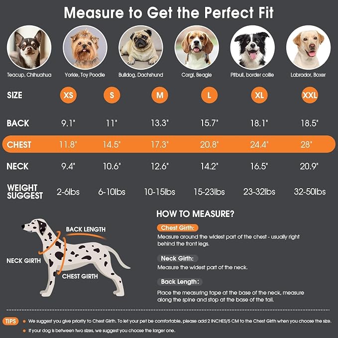 Customizable Pet Sweater for Dogs & Cats - Image 7