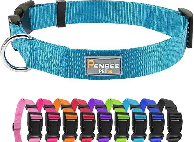 Dog Collar Light Blue Basic Dog Collars