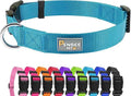 Dog Collar Light Blue Basic Dog Collars