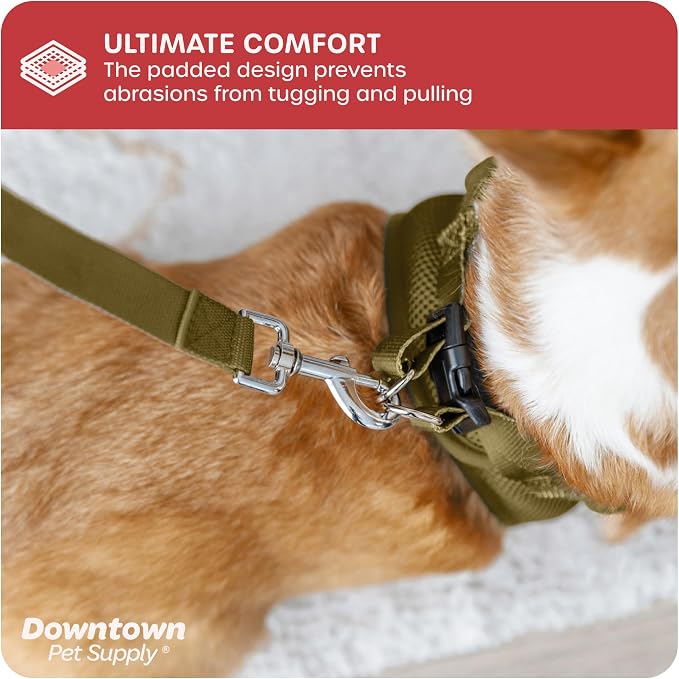 Downtown Pet Supply Step-in Dog Harness – No Pull, Adjustable Padded Mesh - Image 6