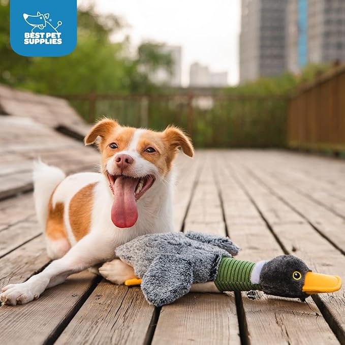 Best Pet Supplies Interactive Squeaky Dog Chew Toy, Ideal Dog Toys - Image 5