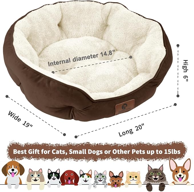 Asvin Small Dog Bed for Small Dogs, Cat Beds for Indoor Cats, Pet Bed for Puppy - Image 3