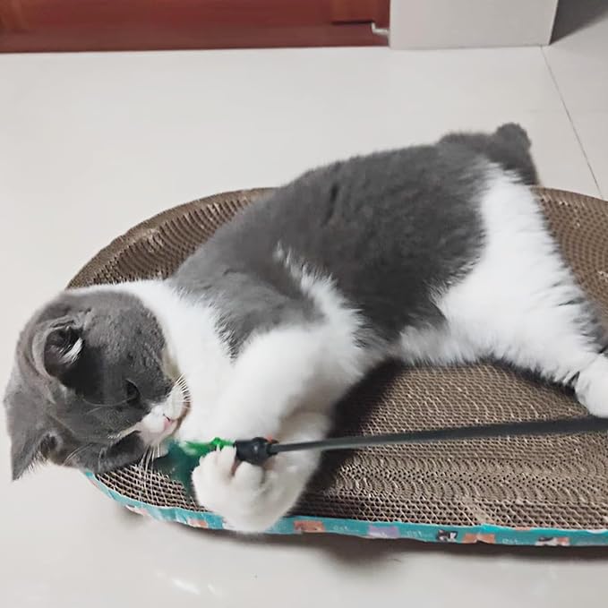 4 PCS Interactive Cat Teaser Wand - Image 6