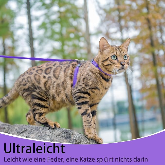 PUPTECK Adjustable Cat Harness and Leash Set Escape Proof Kitten Strap Collar - Image 4